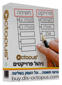 ניהול פרויקטים