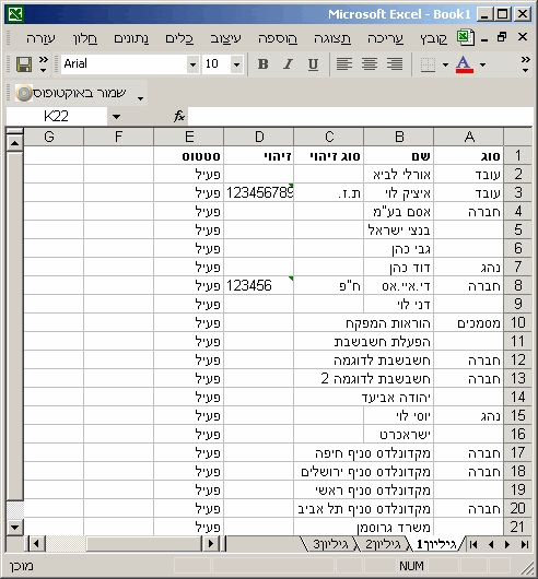 excel report